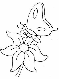 butterfly coloring pages,ccartoon butterfly coloring pages