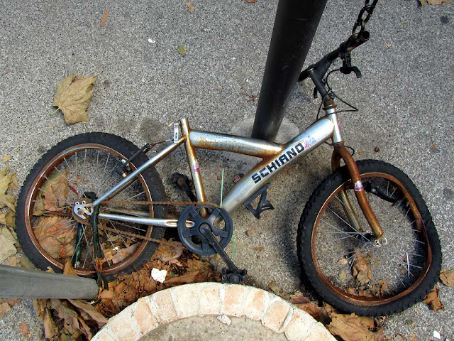 Rusty bicycle lying on the ground, piazza XX Settembre, Livorno