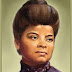 The Red Record by Ida b. Wells-barnett