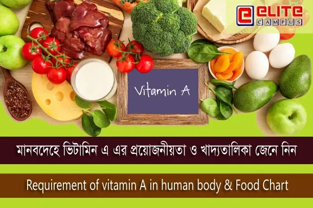 Know the requirements of vitamin A in human body and food chart