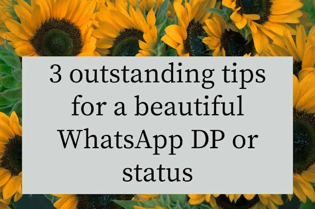 Tips to set a good WhatsApp Dp