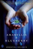 Amaryllis in Blueberry