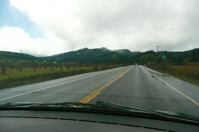 Between Veneta And Florence, Oregon, Lane County, Coast Range