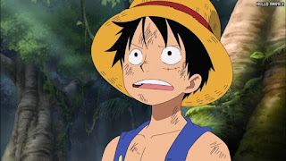 ワンピースアニメ 女ヶ島編 408話 ルフィ Monkey D. Luffy | ONE PIECE Episode 408