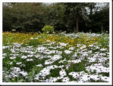 spring4