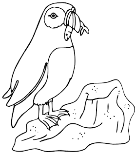 animal coloring pages, penguin coloring pages