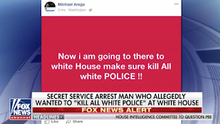 Secret Service: Man who reportedly traveled to DC to kill 'all white police' at White House arrested