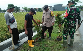 Kabid Humas Polda Jabar : TNI-Polri Bantu Warga Tanam Pohon Di Dusun Cikonju, Ciampel