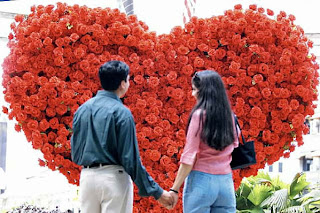 fotos de amor flores