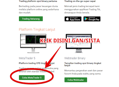 Tutorial Lengkap MT5 Binary.Com