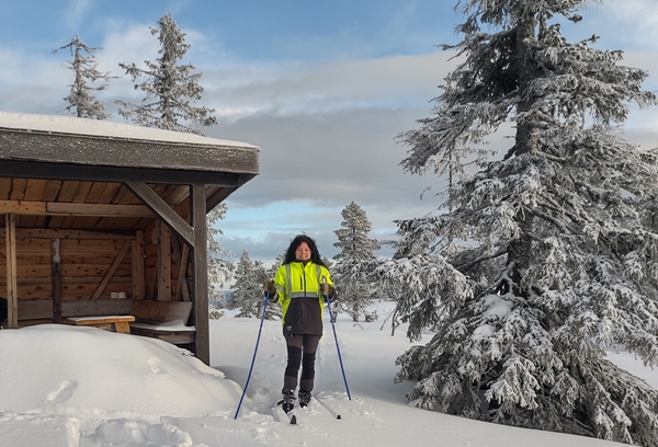 vikerfjell ringerudsetera søndre flåtjern