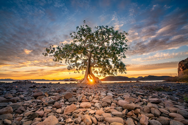 Loreto, MX - Sony 16-35 GM @16mm f/16