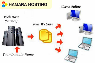 http://www.hamarahosting.com/premium-windows-hosting.html