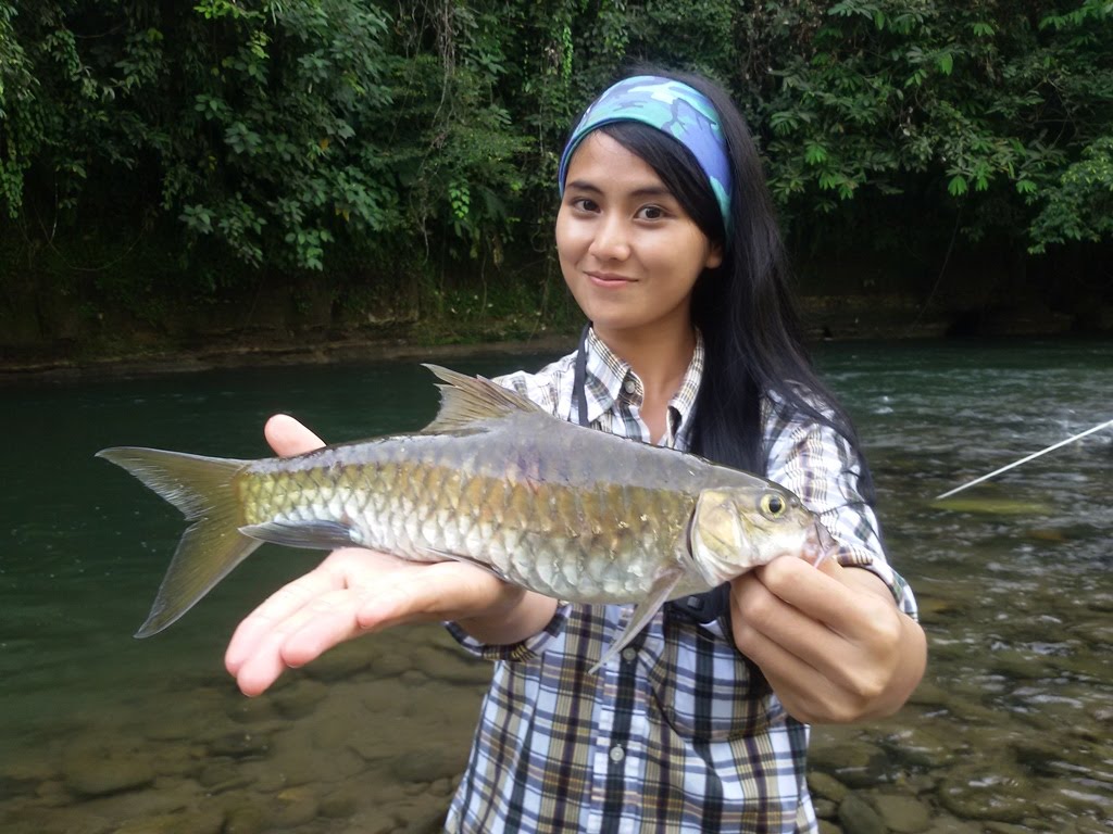 Kenali Senarai Ikan  Paling Mahal  Di Malaysia MYNewsVibes