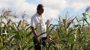 Agricultores atingidos pela seca têm até 31 de maio para pedir crédito emergencial