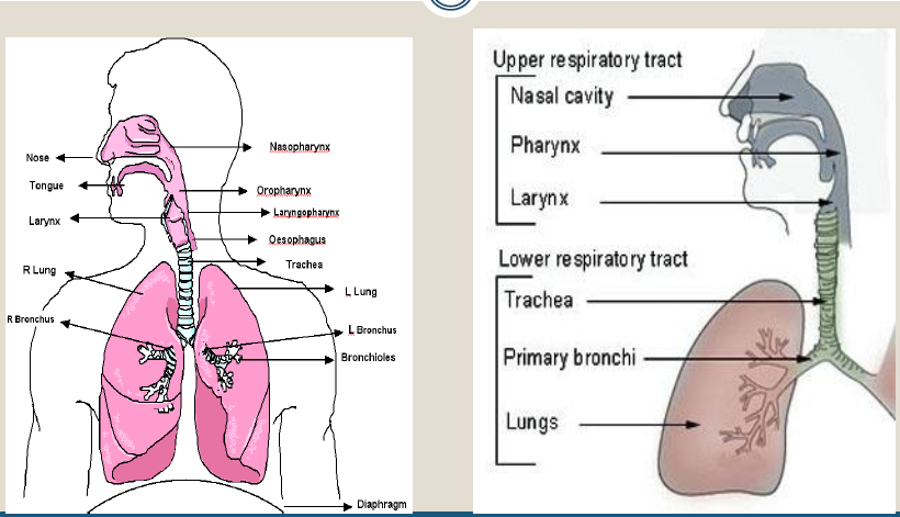 http://medicinal-chemistry1.blogspot.com/
