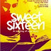 100 Expected Question Likely to Come Out In the Novel “Sweet Sixteen”