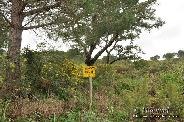 Sendero La Teja