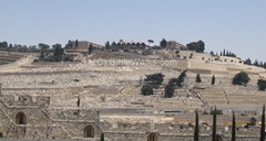 mount of olives