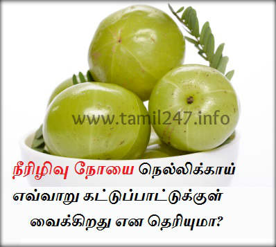 நீரிழிவு நோயை நெல்லிக்காய் எவ்வாறு கட்டுப்பாட்டுக்குள் வைக்கிறது என தெரியுமா? 