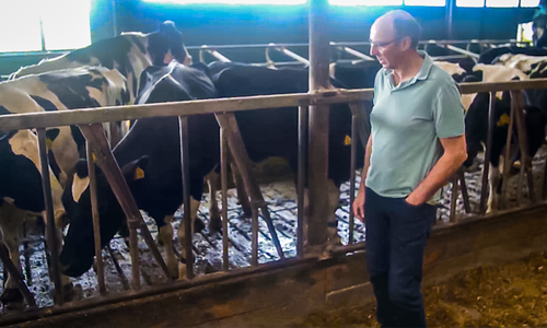 Dutch dairy farmer Martin Neppelenbroek at his farm in Lemelerveld, The Netherlands