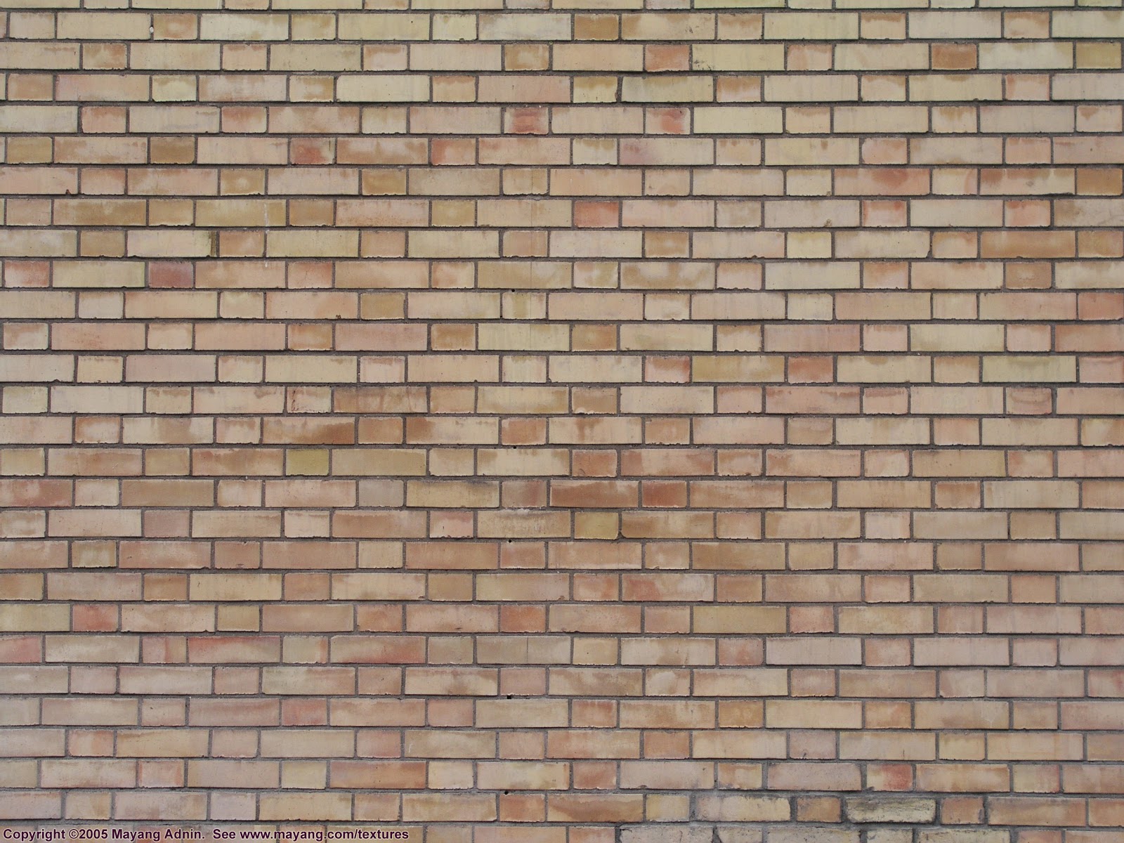 blank fraction wall template