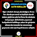 Girişimciler İçin Altın Kurallar #38