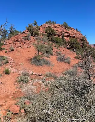 red earth in Sedona, Arizona