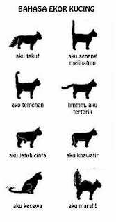 bahasa kucing