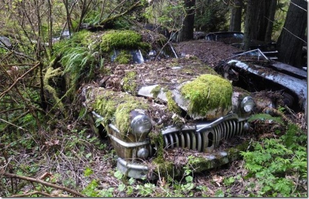 Cemitério de carros na floresta (12)