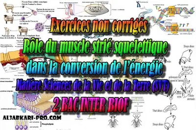 Exercices non corrigés Rôle du muscle strié squelettique dans la conversion de l’énergie 2 bac biof PDF , Sciences de la Vie et de la Terre biof, svt biof, 2 bac biof, Examen National, Devoir, 2 bac inter, PDF, baccalauréat international maroc, baccalauréat international, BAC, 2 éme Bac, Exercices, Cours, devoirs, examen nationaux, exercice, filière, 2ème Baccalauréat, prof de soutien scolaire a domicile, cours gratuit, cours gratuit en ligne, cours particuliers, cours à domicile, soutien scolaire à domicile, les cours particuliers, cours de soutien, les cours de soutien, cours online, cour online.