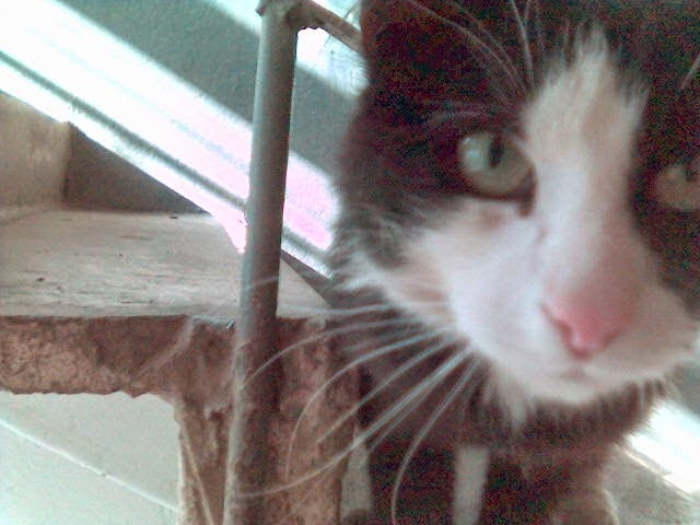 My photo