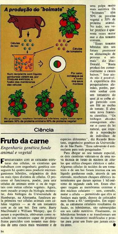 Reprodução de reportagem sobre o boimate na revista Veja