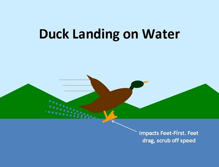 Duck Landing