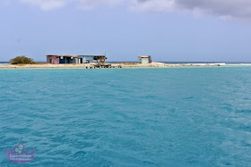 Melhores passeios em Aruba 