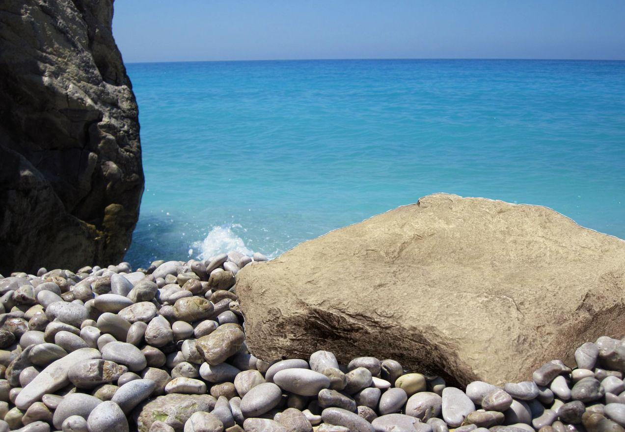 All about plants and planters: Hire of rocks for beach scenes.