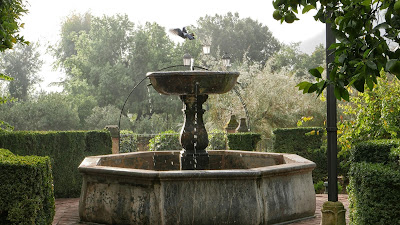 Fountain in the gardens