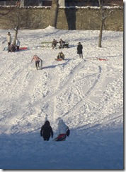 sledging