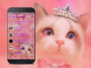 Droid Chat! v13.1.13 Meong Pussy Based BBM v3.1.0.13 Apk Terbaru