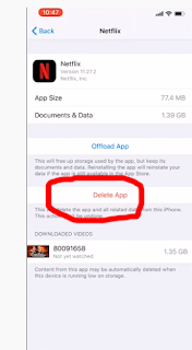 Delete app Cache on Iphone