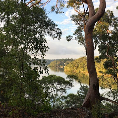 Morning Walk Views