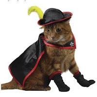 Puss In Boots Costume4