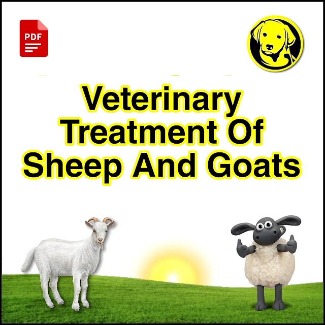 Free Download Veterinary Treatment Of Sheep And Goats Full Pdf