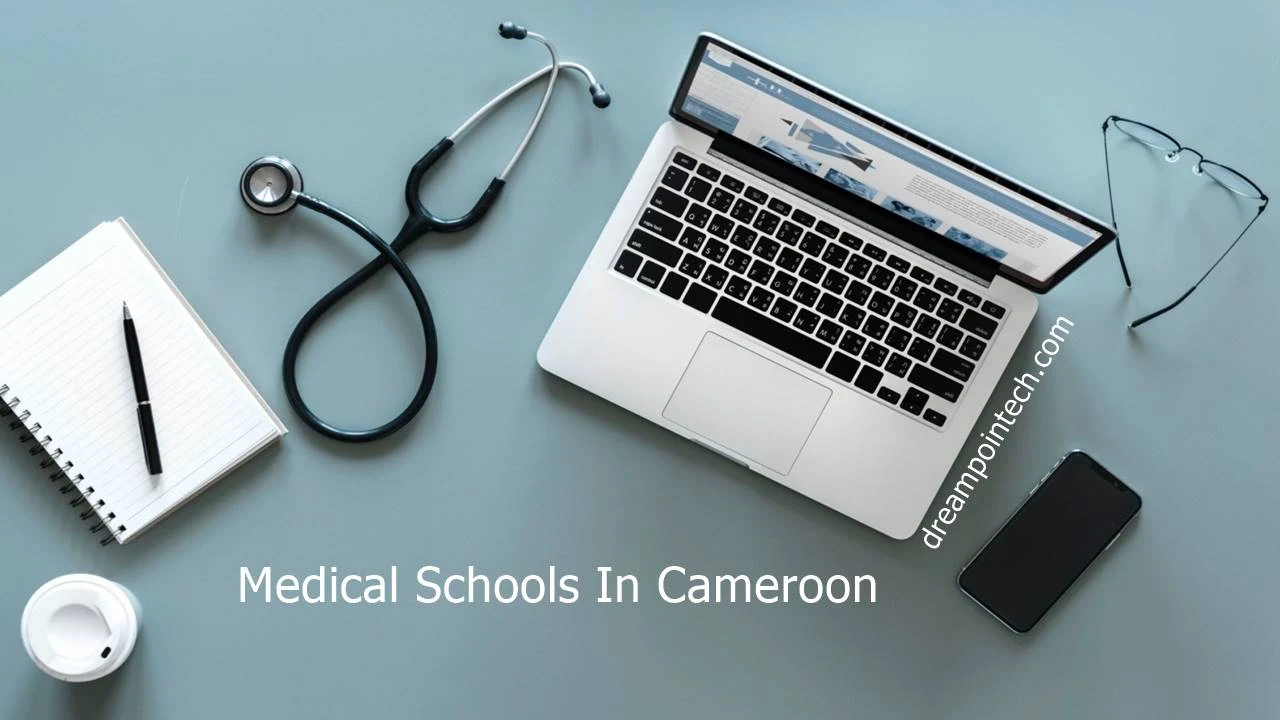 How Many Medical Schools are in Cameroon