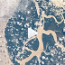 Incrível! Cosmonauta mostra vídeo do Amazonas visto da Estação Espacial