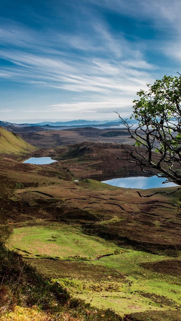 Scotland Trees Mountains Lake