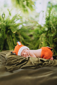 fremont newborn photographer