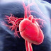 Peredaran Darah Tidak Lancar, 5 Organ Tubuh Ini Bakal Terganggu