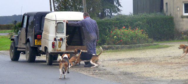 Hounds getting into a homemade trailer. Indre et Loire, France. Photographed by Susan Walter. Tour the   Loire Valley with a classic car and a private guide.