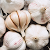 Garlic and its health benefits